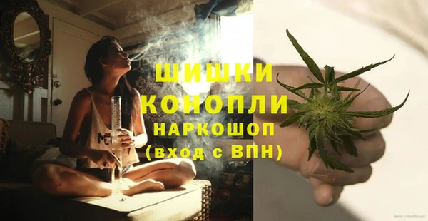 PSILOCYBIN Алзамай