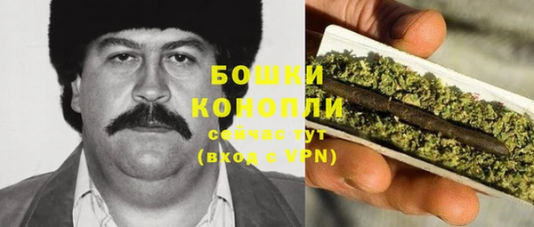 PSILOCYBIN Алзамай