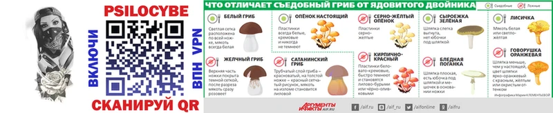 Галлюциногенные грибы Psilocybine cubensis цены kraken ссылки Данилов